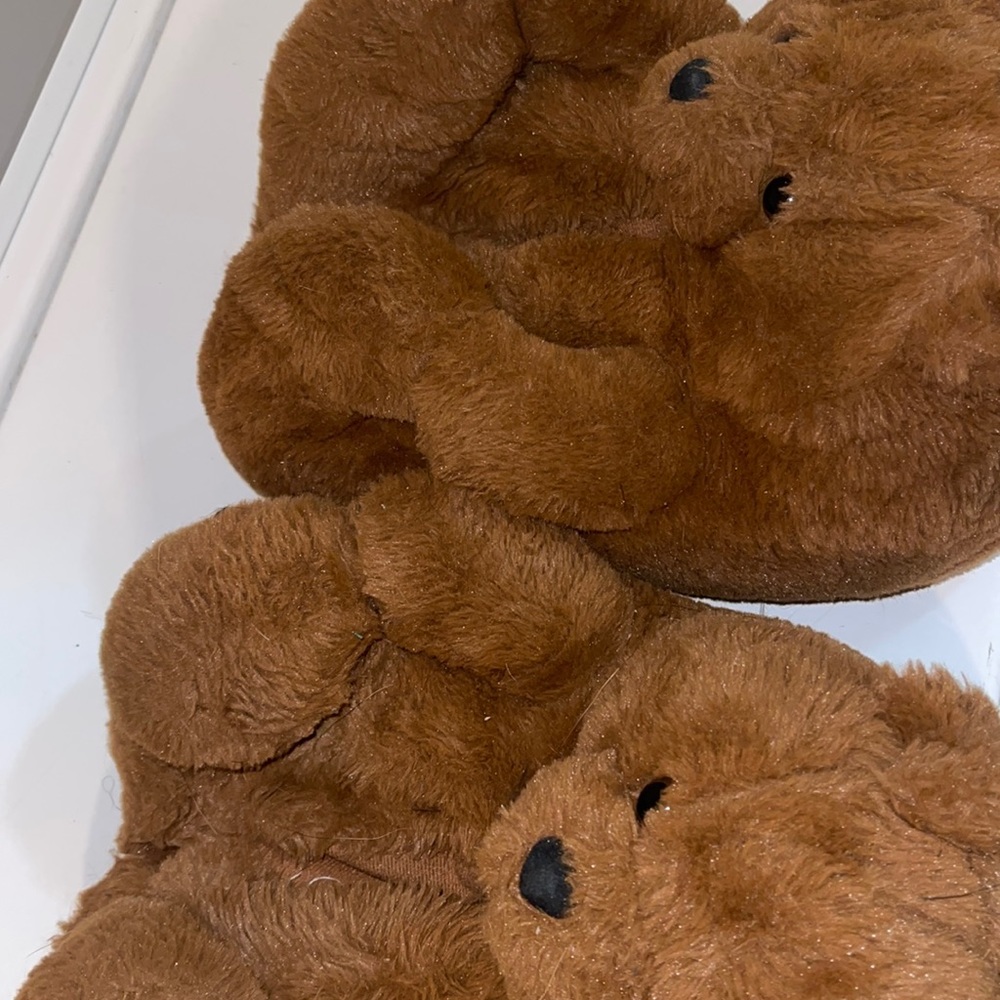 Bear slippers
